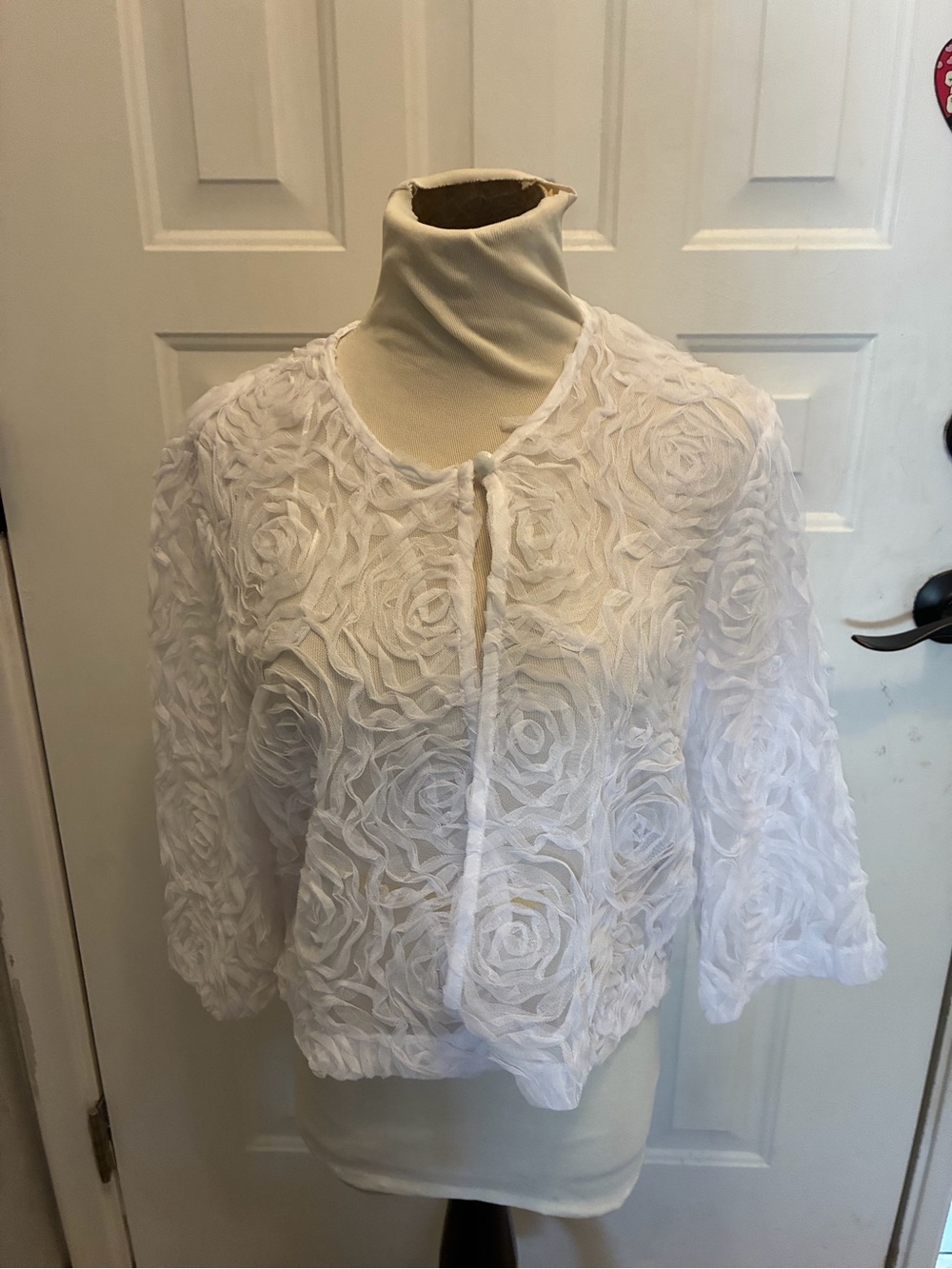 R&M Richards White Layered Dress with Textured Overlay
